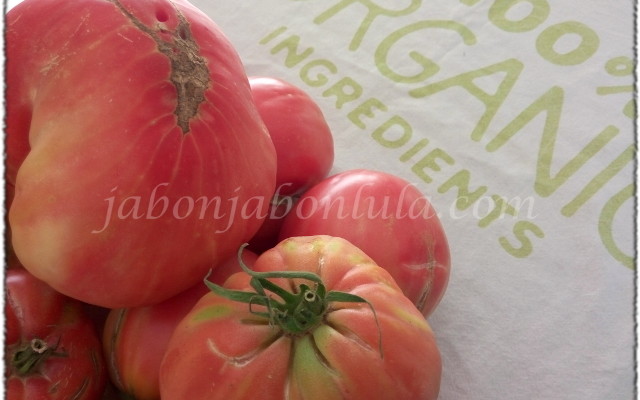 tomate ecologico, huerto urbano, sostenible, autosuficiencia, jabones naturales, jabones de aceite de oliva, jabon de castilla, permacultura, jardineria ecologica
